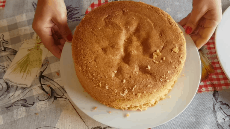 traditional sponge cake 5