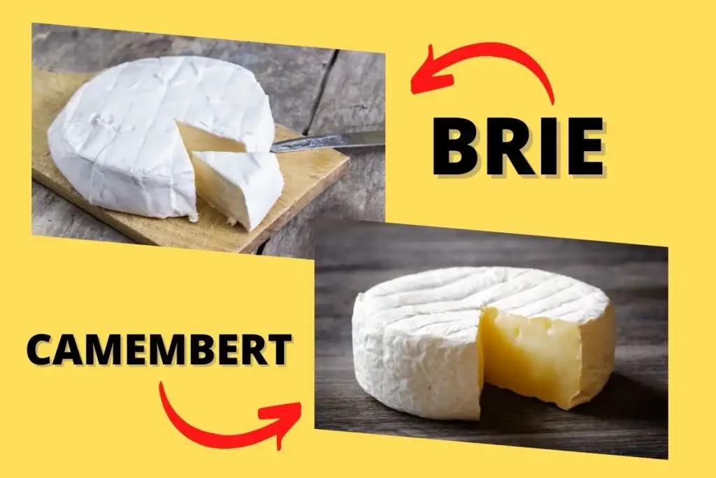 Brie vs camembert