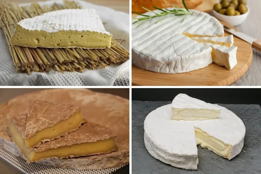 Arten von Brie-Käse