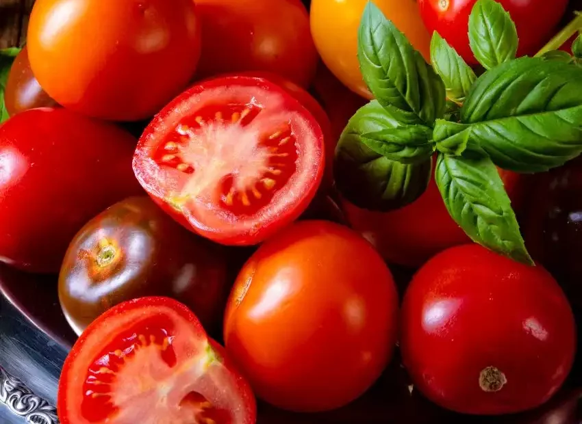 10 types of tomato that will greatly improve your recipes