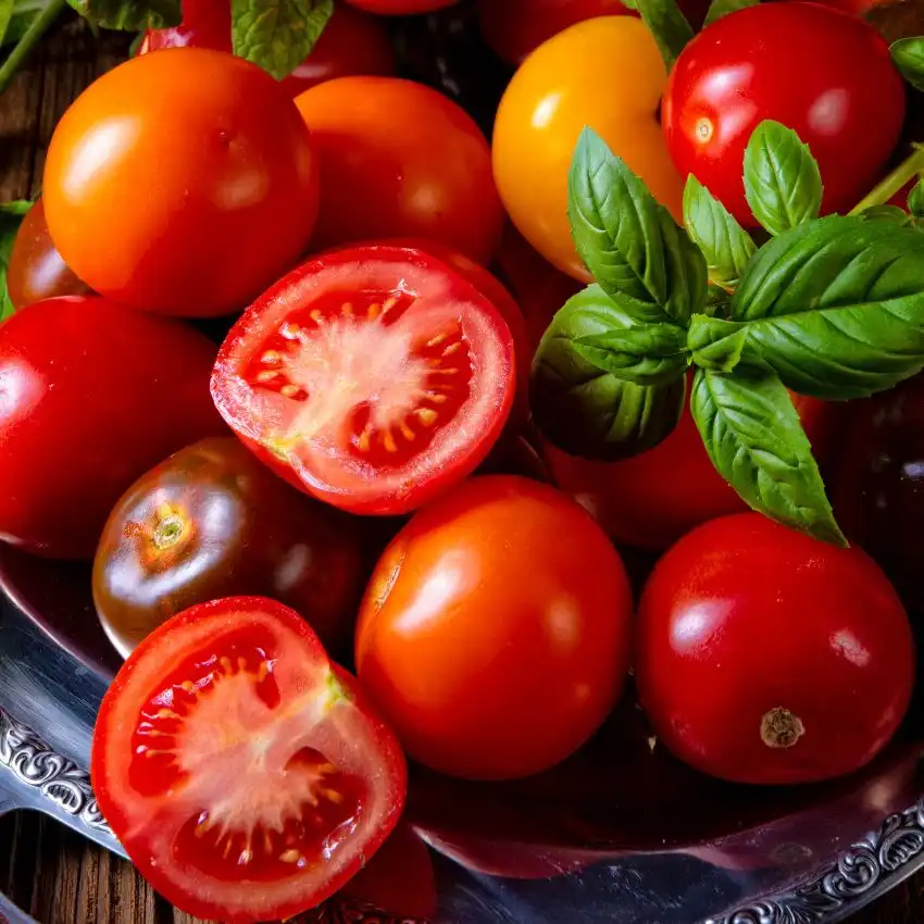 10 types of tomato that will greatly improve your recipes