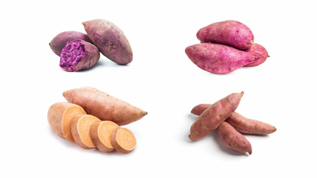 verschillende soorten zoete aardappelen