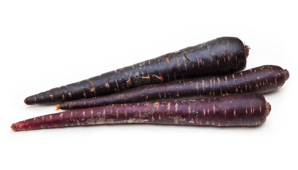 carotte violette