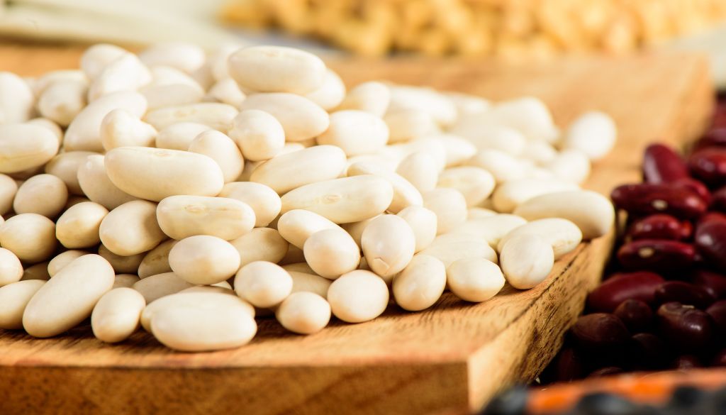 White bean