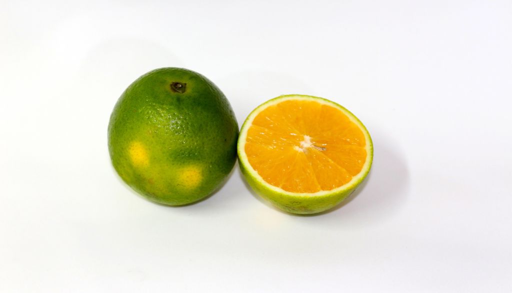 naranja pera