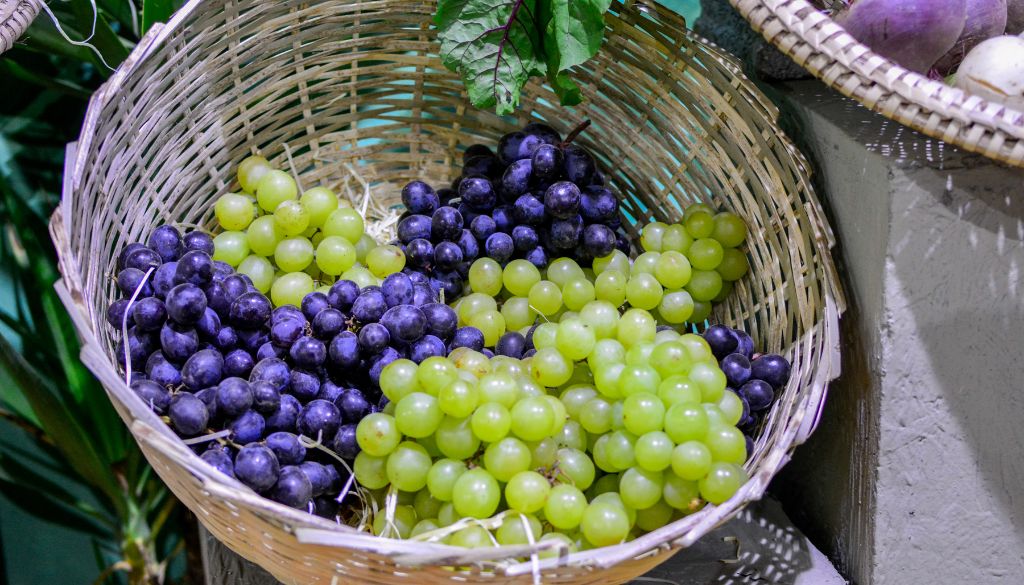 Was ist der Unterschied zwischen lila und grünen Weintrauben? Lasst uns das Rätsel entschlüsseln!