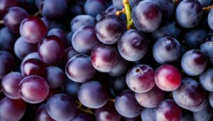 ¿Cómo se llama la uva morada con semillas?