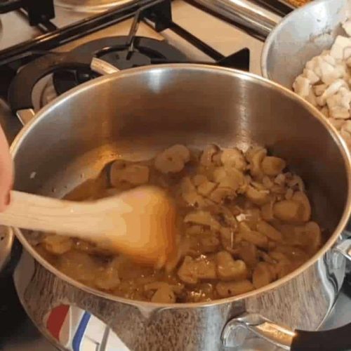 traditioneel recept voor stroganoff met kip